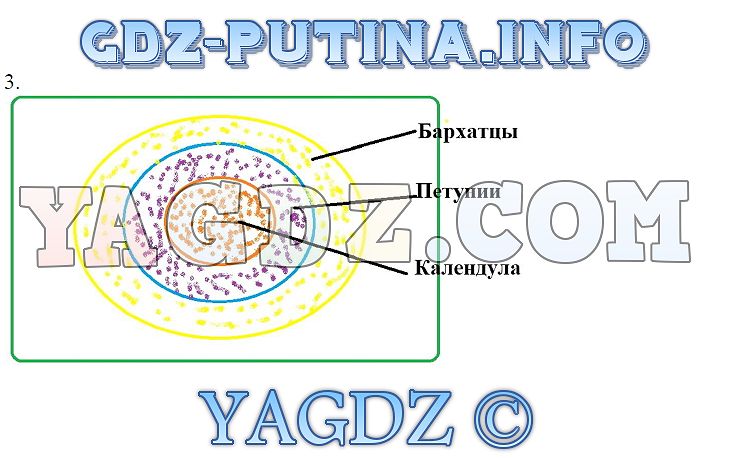 Проект школьная клумба 4 класс